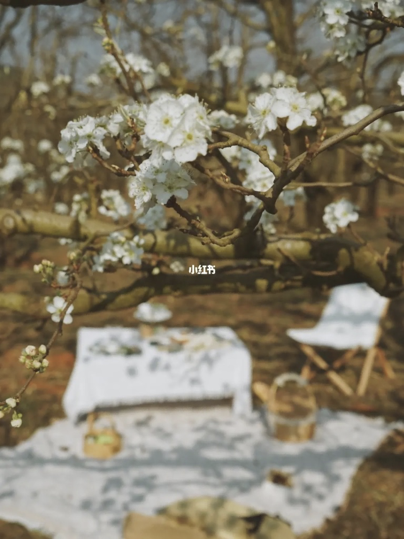 7e73a930dcaea203fc2abf9c05afc46d.png